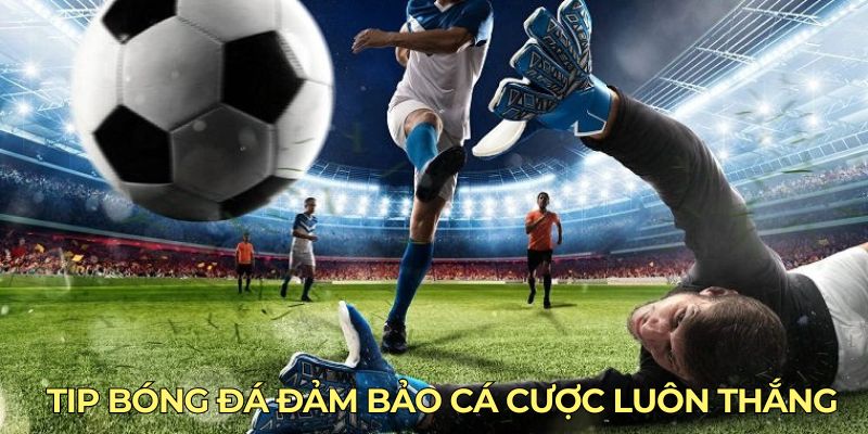 Tip bóng đá đảm bảo cá cược luôn thắng