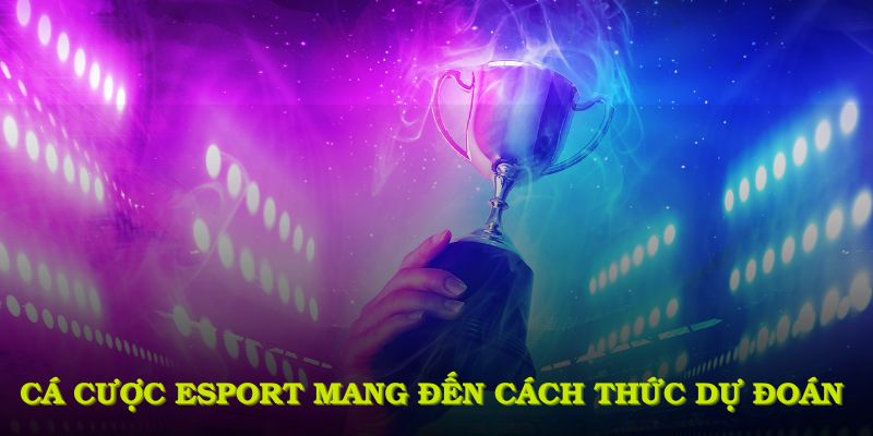 Cá cược Esports mang đến cách thức dự đoán lôi cuốn và khả năng sinh lời