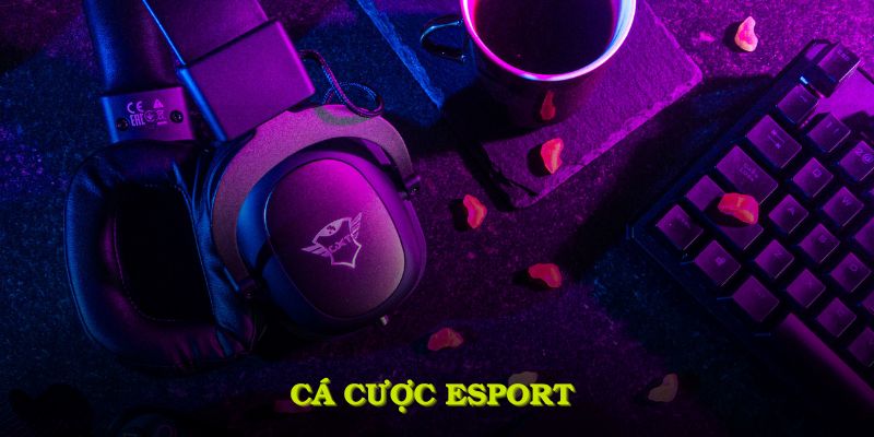 Cá cược Esports