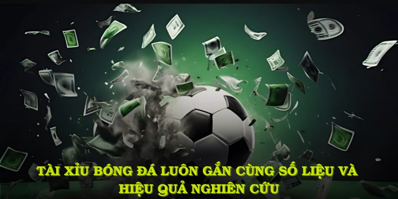 tài xỉu bóng đá luôn gắn liền cùng số liệu và hiệu quả nghiên cứu
