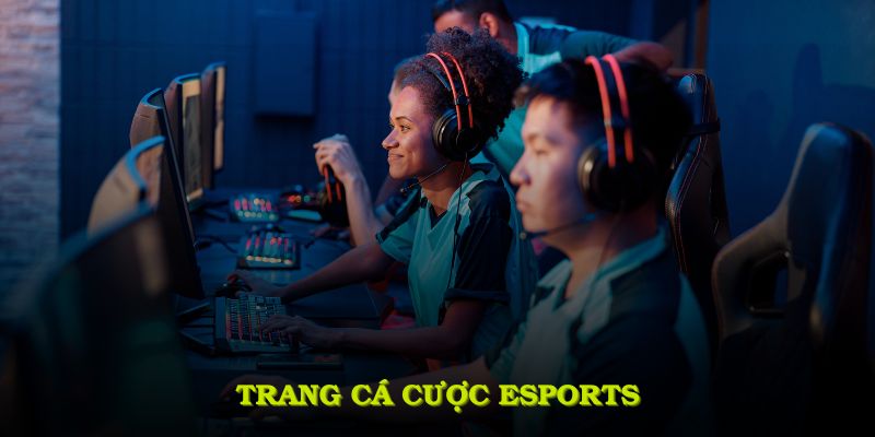 Trang Cá Cược Esports